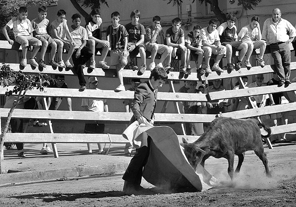 Alumnos de la Escola de Tauromaquia de Valencia